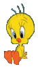 knipoog.gif