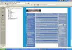 surf.webp