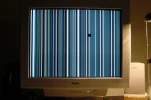 crash1.webp