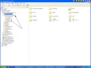 root.webp