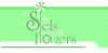 1_r1_c2&r2_c3 forum.gif