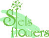 sels flowers logo.gif