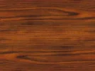 body_background.webp