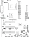 mobo.webp