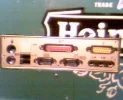 picture 19[1].webp