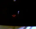 picture 35[1].webp