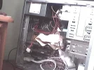 kast1.webp