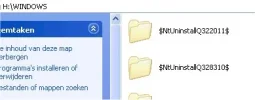 patches.webp