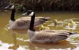 2003-04-24 de maatjes 40.webp
