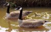 2003-04-24 de maatjes 40.jpg