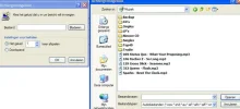 oe.webp