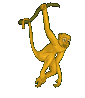 animatie - bengelend aapje.gif