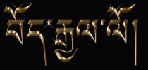 bodgyalogold.webp bodgyalogold.webp