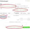 Screenshot Website.webp