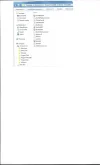 Elsevier ib.webp