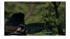 Bug.jpg