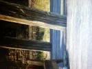 IMG_0545.webp IMG_0545.webp