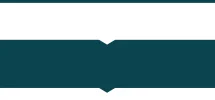 Knipsel.webp