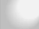 silverbackground.webp