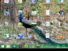 bandicam 2014-05-07 14-11-54-577.webp