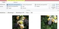 Extra groot.webp