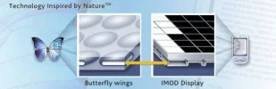 mirasol-butterfly.webp