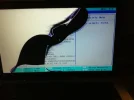 foto 1.webp