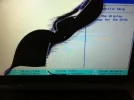 foto 4.webp