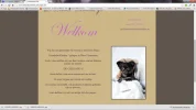 oke.webp