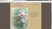 Image1.webp