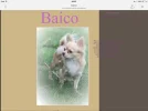 10714813_10203524133958211_1809327319_n.webp