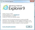 Versie Internet Explorer.webp