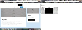 probleem.webp
