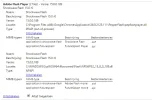 Chrome Adobe Flash Player.webp
