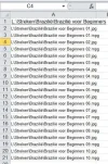 Lindex.webp