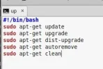 4.webp