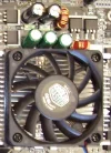 mobo 4.webp