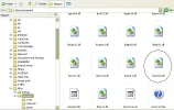 lotus.webp