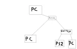 netwerk.webp