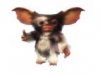 gizmo.jpg