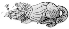 kattenkoning8eg_kopie.webp