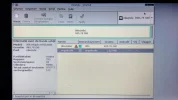 4.webp