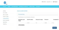 Port forwarding.webp