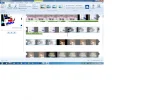 WMM.webp