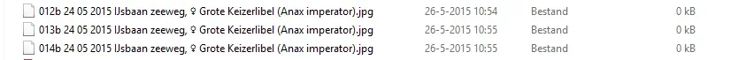 raar.webp