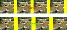 plaatjes-voorbeeld.webp plaatjes-voorbeeld.webp