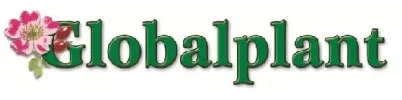Globalplant logo.webp Globalplant logo.webp