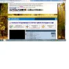 Naamloos.webp