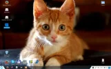 zorin.webp