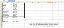 vraag voor excel.webp